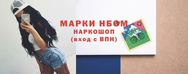 твердый Абаза