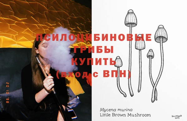 мяу мяу мука Абдулино
