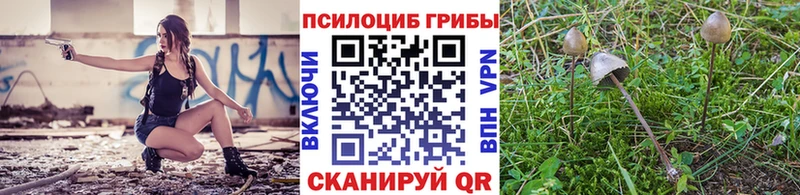 где можно купить наркотик  blacksprut как зайти  Псилоцибиновые грибы ЛСД  Судогда 