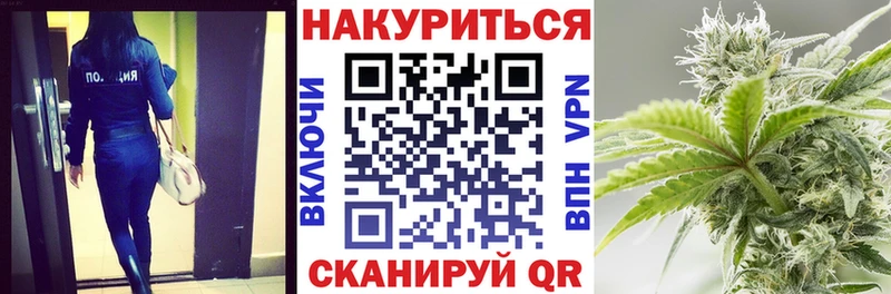 Бошки марихуана семена  blacksprut зеркало  Судогда 